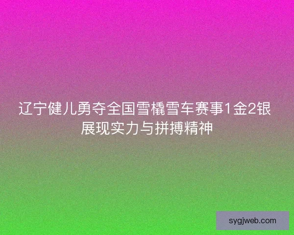 辽宁健儿勇夺全国雪橇雪车赛事1金2银 展现实力与拼搏精神